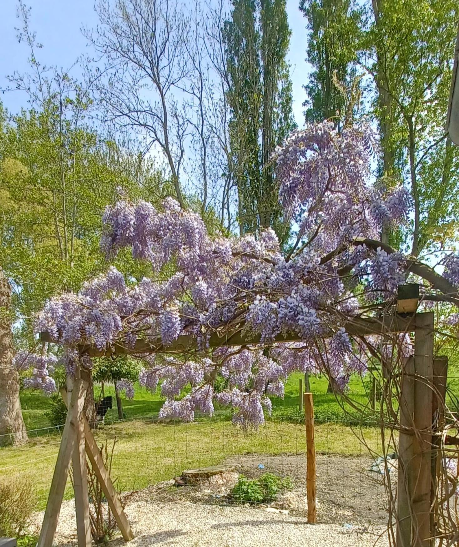 Nature Et Moi Wittes Екстериор снимка